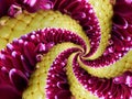 Magenta yellow flower spiral abstract fractal effect pattern background. Floral spiral abstract pattern fractal. Incredible flower Royalty Free Stock Photo