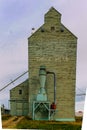 Magestic wooden giants of the prairies