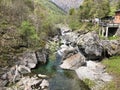 The Maggia river in the Maggia Valley or Valle Maggia or Maggiatal Fluss Maggia im Maggiatal