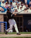 Magglio Ordonez, Chicago White Sox