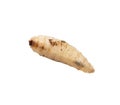 Maggot on a white background Royalty Free Stock Photo