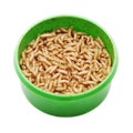 Maggots Royalty Free Stock Photo