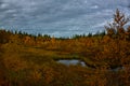 Magic arctic autumn in far russian north with lake