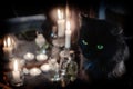 Magic attributes. Black cat and burning candles near the old mirror Royalty Free Stock Photo