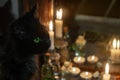 Magic attributes. Black cat and burning candles near the old mirror Royalty Free Stock Photo