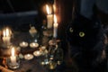 Magic attributes. Black cat and burning candles near the old mirror Royalty Free Stock Photo