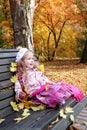 Magic autumn Royalty Free Stock Photo