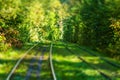 Magic autumn forest tram path, tilt-shift photo Royalty Free Stock Photo