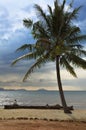 Magic beach under the palm tree