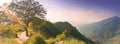 Magic beautiful panorama from little Adams peak at Sri Lanka. Fresh nature background. High mountain with trees, blue sky.