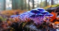 Magic blue mushrooms growing forest, surreal drawing. Psilocybe semilanceata mushrooms AI Generated