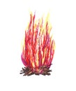 Magic bonfire isolated on white. Tongues of red, yellow and purple flame, template for text or lettering. Hand drawn illustration