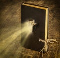 Magic Book closed on the rope emits light Royalty Free Stock Photo