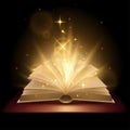 Magic book illustration Royalty Free Stock Photo