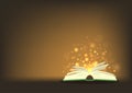 Magic book with magic lights. Royalty Free Stock Photo