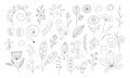 Magic botanical collection. Branches, flowers and leaves, handrawn vector illustration