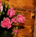 Magic bouquet of pink roses. Magic shadows
