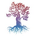 Magic bright tree with roots. Tree silhouette Royalty Free Stock Photo