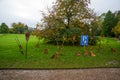 Magic broom witches stand in the Park for scenery. Humorous Parking for brooms. Egeskov Castle, Denmark