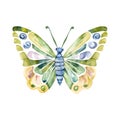 Magic butterfly green color, watercolor vector isolated on white