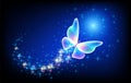 Magic butterfly with sparkle trail flying in night sky among glowing stars in cosmic space. Animal protection day concept