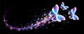 Magic butterflyies with fantasy sparkle, blazing trail and glowing stars on black background