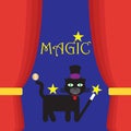 Black cat with top hat and magic wand ready for a magic show Royalty Free Stock Photo