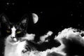 Magic cat on cloudy sky Royalty Free Stock Photo