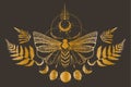 Magic celestial butterfly, fern leaves, plants and moon in golden foil texture clipart, mystic space moth with crescent