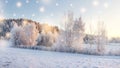 Magic Christmas nature in morning. Trees with snow illuminated by warm sunlight. Winter nature landscape with falling snowflakes