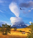 Magic cloud and flocks of Andean condors