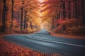 Magic colorful autumn forest road