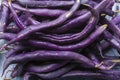 Magic colorful purple beans which turn Green after cooking, fresh healthy vegetables