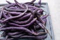 Magic colorful purple beans which turn Green after cooking, fresh healthy vegetables