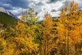 The magic colors of northern autumn Royalty Free Stock Photo