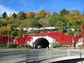 Magic colors ou autumn in central Europe