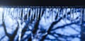 Magic crystal icicles hanging from roof. Melting icicle with falling shiny drops over a beautiful bright background. Ice