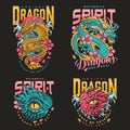 Magic dragon set flyer colorful Royalty Free Stock Photo