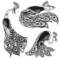 Magic Fairy Bird. Phoenix Bird. Peacock bird.Ornamental Silhouette for your design.
