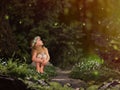 Magic fairy forest. A small child watching fireflies.