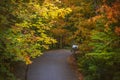 Magic fairy tale forest and fall forest path leading trough it.  old car, autumn plants Royalty Free Stock Photo