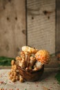 Magic fairytale party table decor, mushroom with confectionary in cup on wooden background, poison toxic food, halloween holiday.