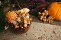 Magic fairytale party table decor, mushroom with confectionary in cup on wooden background, poison toxic food, halloween holiday.