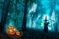 Halloween Forest Spirits And Witch Royalty Free Stock Photo