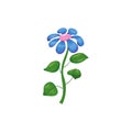 Magic flower blue, purple, magic plant, fantasy symbol, icon. Vector illustration cartoon style Royalty Free Stock Photo