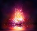 Magic flower on water Royalty Free Stock Photo