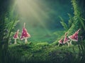 Magic forest background Royalty Free Stock Photo