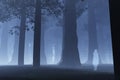 Magic Forest Ghost 3 Royalty Free Stock Photo