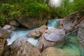 Magic forest a mystically beautiful forest with a river and many small waterfalls and rocks