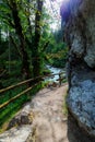 Magic forest a mystically beautiful forest with a river and many small waterfalls and rocks